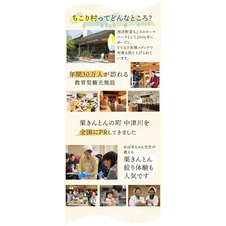 岐阜・中津川　ちこり村　栗きんとん10個入り　冷蔵便お届け