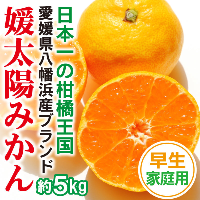 ※2025年9月頃より予約開始予定※愛媛県産「温州みかん(早生)」-媛太陽みかん-〈家庭用〉約5kg