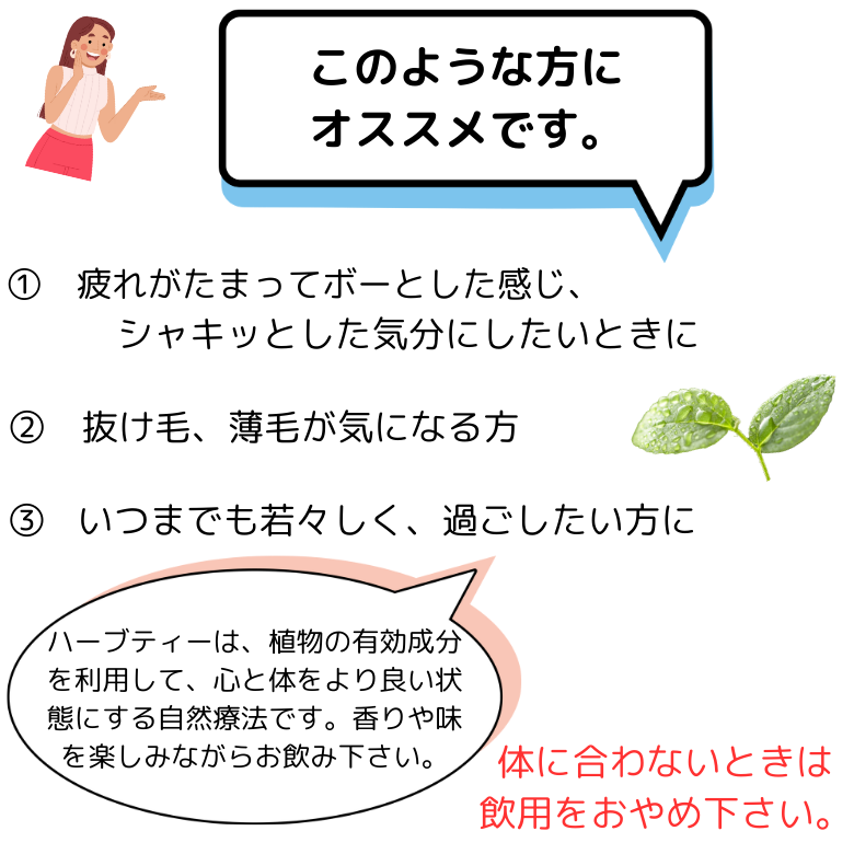 【送料無料】「芽ぶくティー」15個入り　脳、シャキッ！　7種のハーブと薬草で元気と笑顔を!　