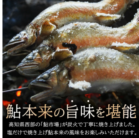 鰹の塩たたきと天然鮎塩焼きセット　カツオのたたき　かつお　高知　四万十川　あゆ　タタキ　司