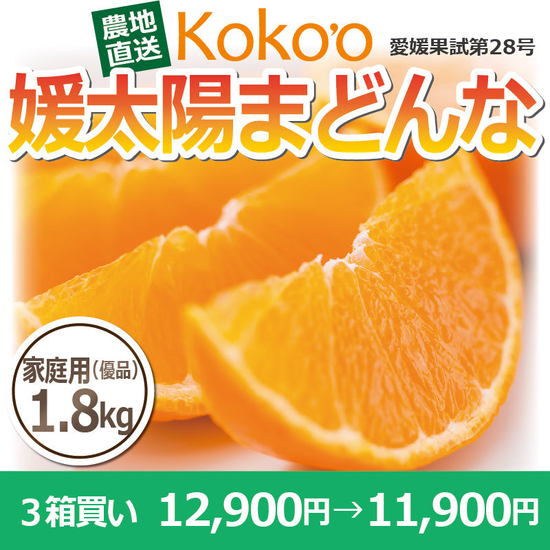 ※今季販売終了※【送料無料】高級ブランドかんきつ「媛太陽まどんな」〈家庭用（優品）・小箱〉約1.8kg（L～4L／約4～9玉）