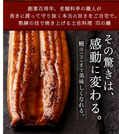土佐料理 司 「三代目 天の鰻（大） 2尾セット」うなぎ 高知県産　土用丑の日　ウナギ　蒲焼【カニ・鮮魚・魚介類】