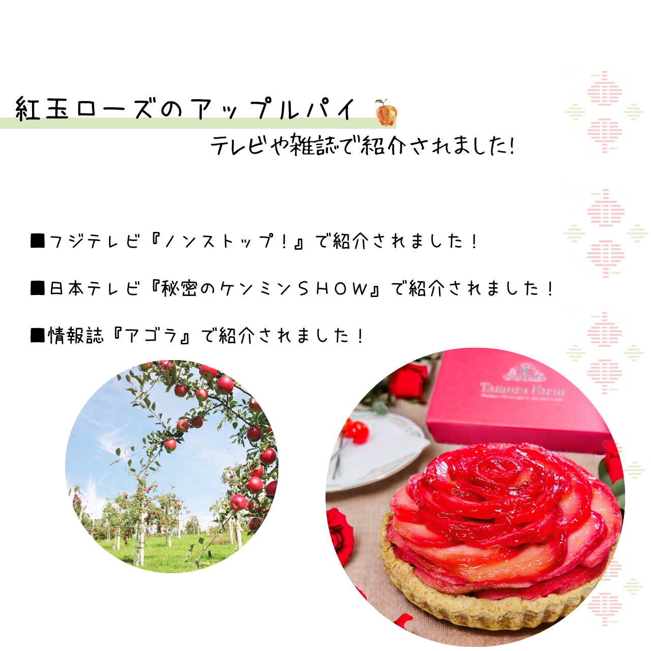 紅玉のアップルパイ  ローズ【送料別】【タムラファーム】