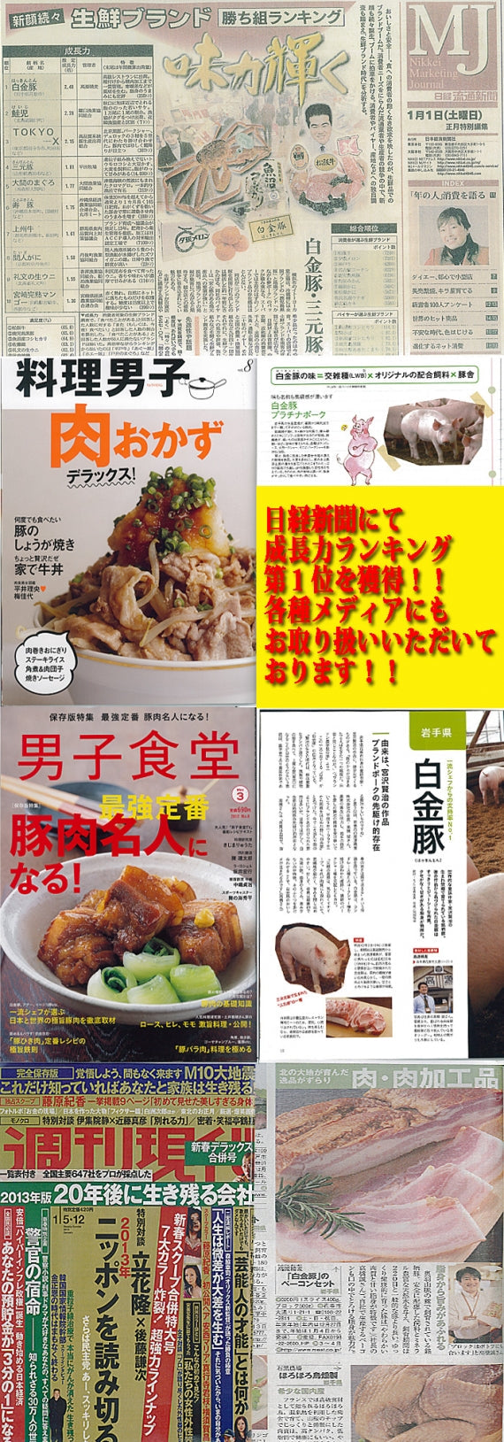 【送料無料】 白金豚の手づくりチャーシュー（3本詰）