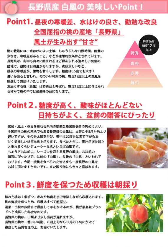 【売り切れ】【送料無料】長野県産白鳳(桃) ※８月上旬より順次発送※期日指定不可【お中元2025】【フルーツ】