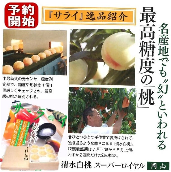 「究極最高級の清水白桃」スーパーロイヤル（糖度13度以上）9個～12個（約2.7kg）【お中元2025】【フルーツ】【発送は7/20～7/31まで】