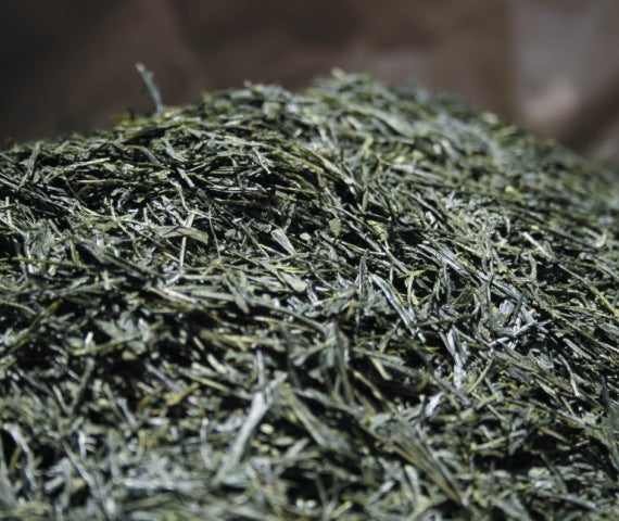 送料込み！「えんぎもの不老長寿の八十八夜摘み宇治新茶」　限定品　缶箱入