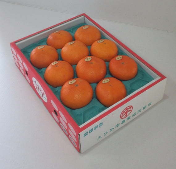 【予約受付中】”1月末頃より発送予定”薄皮・種なし・果肉はじけるうまさ！甘　平（かんぺい）　（化粧箱入り）約３ｋｇ　４Ｌ～２Ｌサイズ（サイズ指定不可）　８玉～１２玉