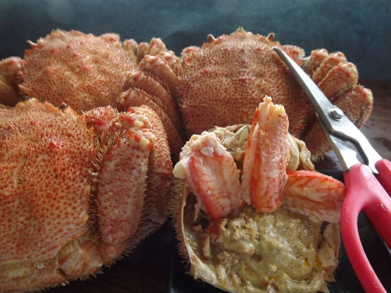 【送料込み】毛がに【極み選別】★900ｇ以上★中サイズ 450g×２尾 「宗谷岬の活ゆで厳選」★身とミソの食べ応えのある大きさ★