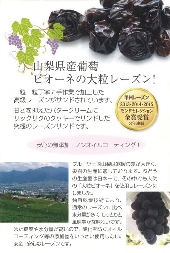 【山梨県産ピオーネ使用】●○甲州レーズン○●5個入り☆
