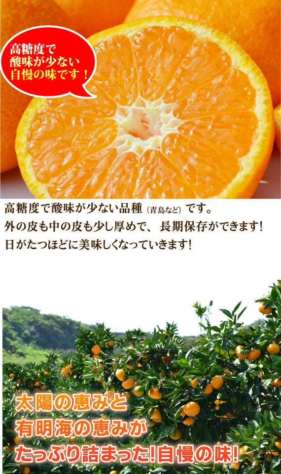 ＜1月からのミカン＞まろやかな味わい★蔵出し！★熟成みかん