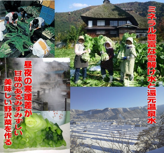 無添加野沢菜漬(昔ながらのうんまい菜っぱ）【送料無料】新漬け野沢菜　【米・野菜・惣菜】 【乾物・缶詰・瓶詰・調味料】