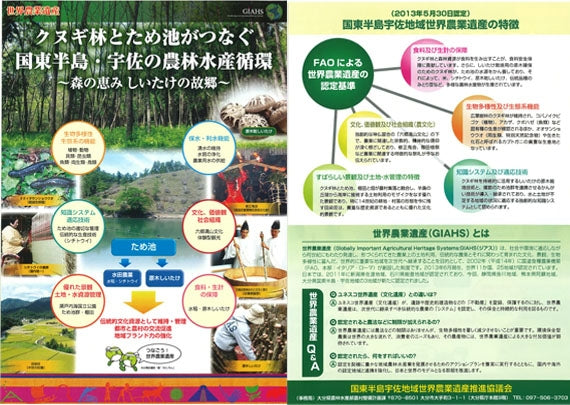 【令和6年産】 大分県産こしひかり　　5kg