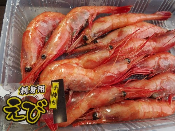 【お刺身と味噌汁で】船内冷凍ー60℃刺身用「甘えび」（約15尾）300ｇ※最も寒い時期のエビです※【新物入荷！】