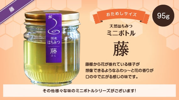 藤ハチミツミニボトル （95g）