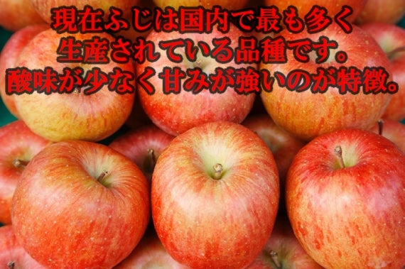 青森県産 しないりんご ふじ 20ｇ 国産 ドライフルーツ 乾燥 りんご 林檎 リンゴ 無添加 砂糖不使用 ギフト プレゼント 贈り物 道奥美女 みちのくびじょ【6007】