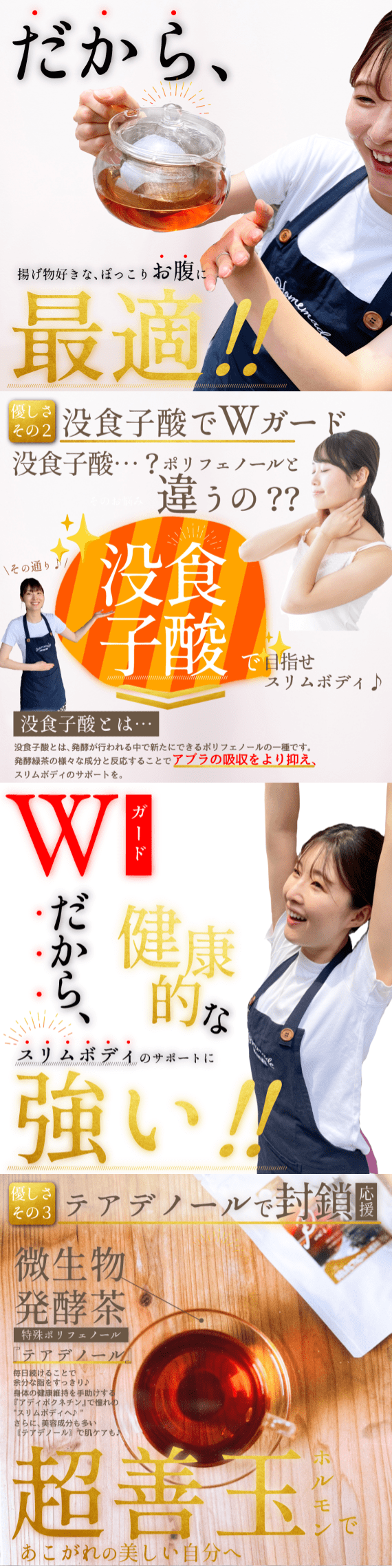 国産プーアール茶・健康美人の習慣スリム茶【30個入り・送料無料ネコポス便】