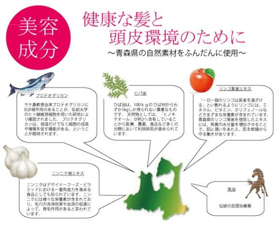 トリートメントシャンプー ノンシリコン 馬油配合 高保湿 日本産 青森 美容成分 潤い 送料別 道奥美女 みちのくびじょ【1025】