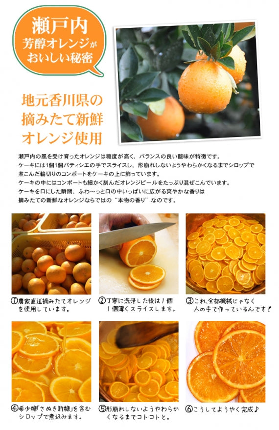 瀬戸内芳醇オレンジケーキ小丸６個入り　誕生日　プレゼント　母の日　父の日　ギフト　お取り寄せ　JAL国内線ファーストクラスに採用されました。美味しさとかわいらしさがプラス。