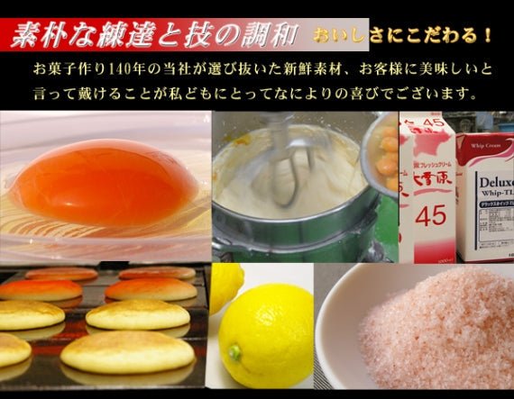 全国の地方新聞社夏スイーツ2015「大品評会」１位獲得！生どら焼き　塩れもん　5個入り