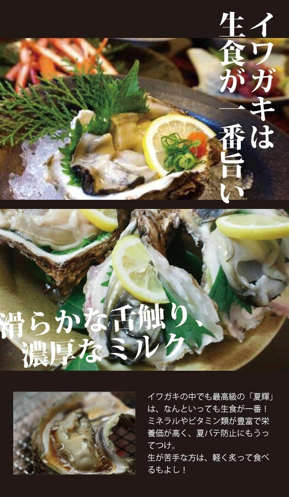 【極上ブランド「夏輝」】【天然の岩牡蠣】　漁師が素潜りで獲った天然岩牡蠣「夏輝」帯付　5個セット