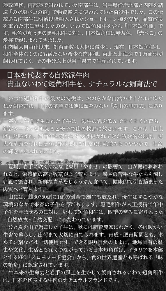 岩手短角和牛焼ハンバーグ(120g×4個)特製和風ソース付