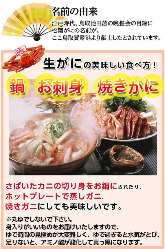 【先行ご予約販売】 【鳥取賀露港直送】　松葉がに（大中・生) 600g以上