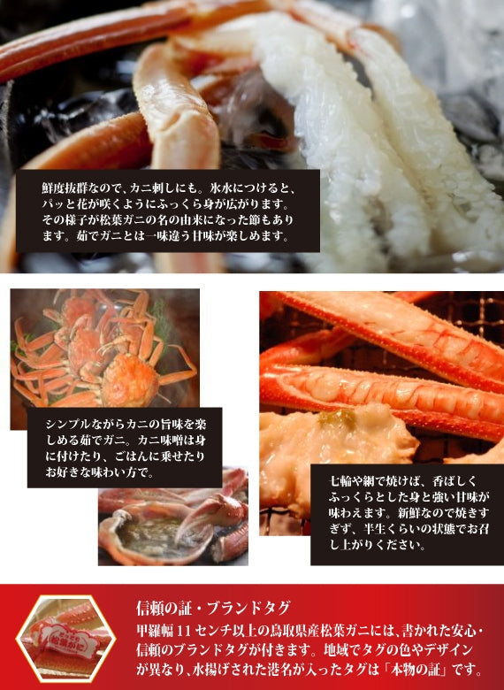 松葉ガニ漁解禁！　松葉ガニ　特大サイズ約1kg タグ付【生／茹で】