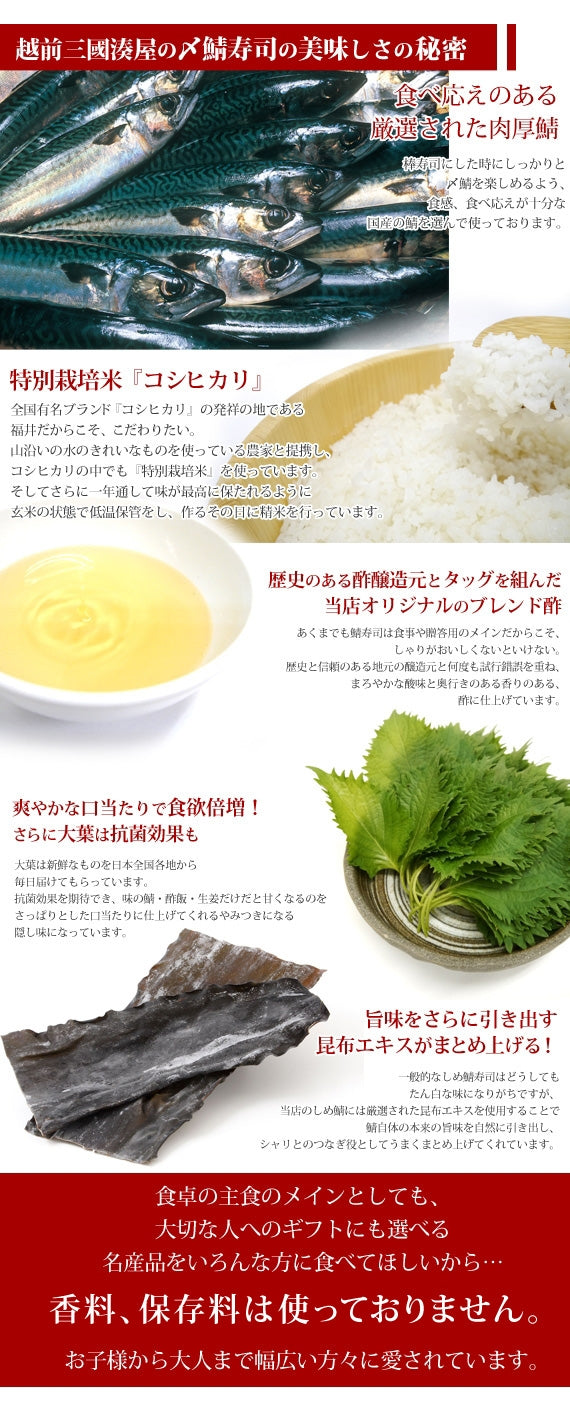 〆鯖寿司 　[1本]　肉厚鯖がたまらない！(しめ鯖・バッテラ) 福井県〈冷凍便〉【お中元2023】【漬魚・魚加工品】