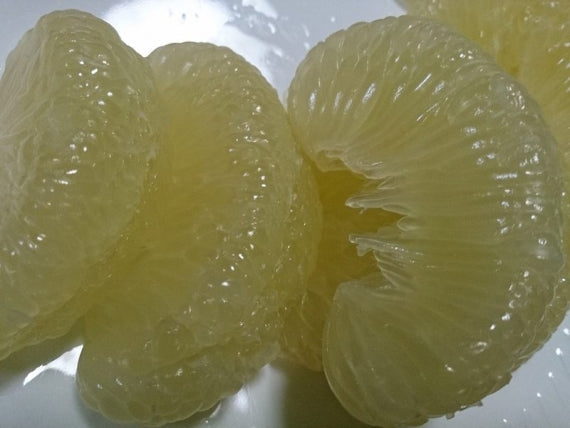 【送料無料】【大きさとお味のバランスが一番！良い】２Ｌサイズ  【完熟作りの土佐文旦】【わけありお徳用：１０キロ：大箱：中玉２Ｌサイズ】 【19～22個入り】送料無料一部地域除く