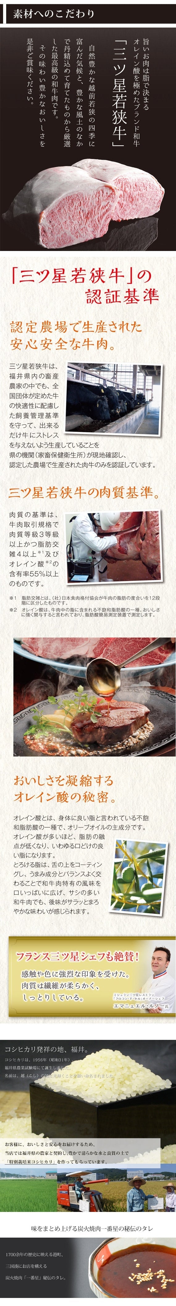 【送料無料】三ツ星若狭牛ステーキ丼　３個セット　～ 炙り炭火焼き製法～　福井県 〈冷凍便〉【お中元2023】【精肉・肉加工品】