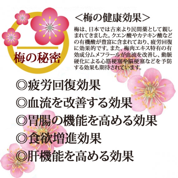 サクサクすっぱい甲州小梅