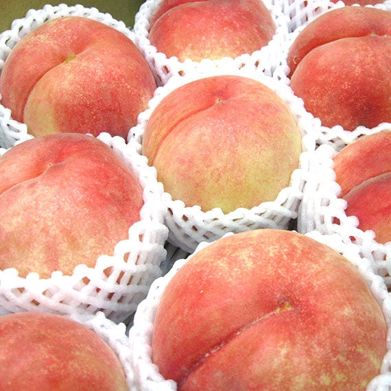 産地直送！山形県産 桃　ご家庭用3Kg【8月中旬～9月下旬のお届け】