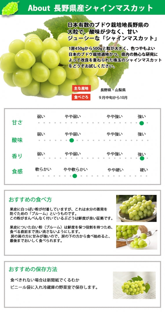 【送料無料】【長野県産シャインマスカット★900g～１㎏(2房)】大粒で味も香りもよし！種なしで皮ごと食べることができます。※9月中旬から順次発送