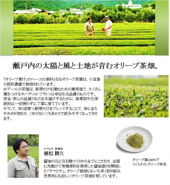 島匠オリーブ青汁6箱（6か月分180包）小豆島オリーブ葉使用！農薬、保存料不使用