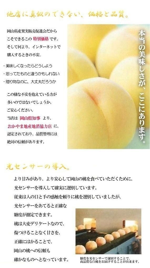 「晴れの国おかやまの隠れた逸品」岡山特産　黄金桃（1.4kg）4個～6個【発送は8月下旬から】