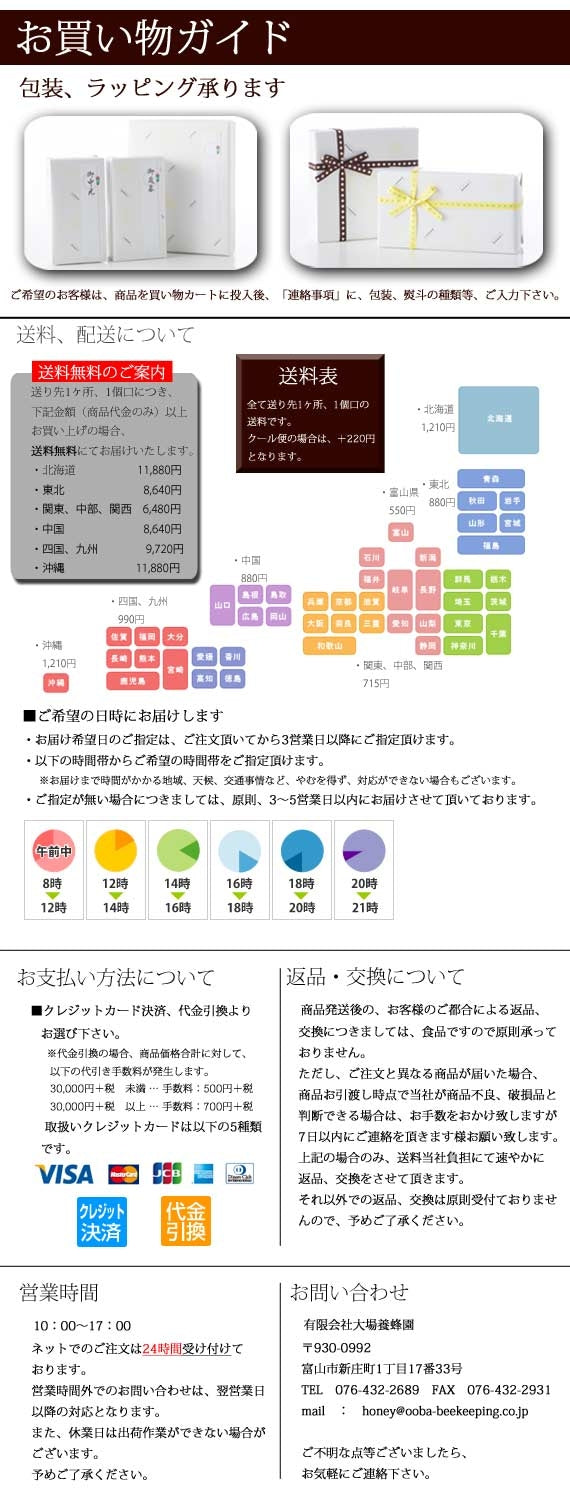 ブルーベリーハチミツ500gボトル （500g）