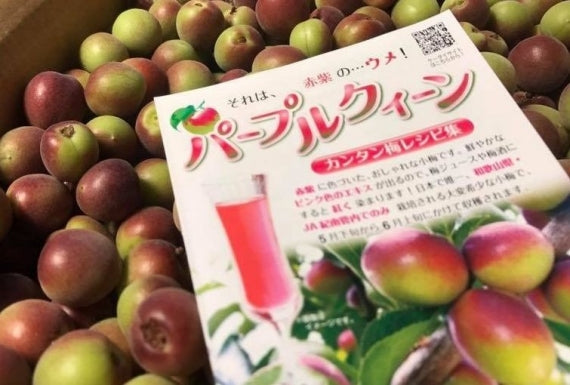 パープルクィーン（小梅）ＪＡ紀南オリジナル品種 和歌山県産 秀品【 2Lサイズ 】約4kg発送は5月下旬から 。