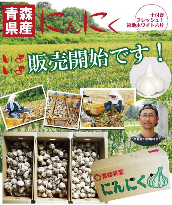 土付きにんにく1kg SML混合 令和6年度産新物 青森県産 福地ホワイト六片種 国産 送料別 道奥美女 みちのくびじょ【8069】
