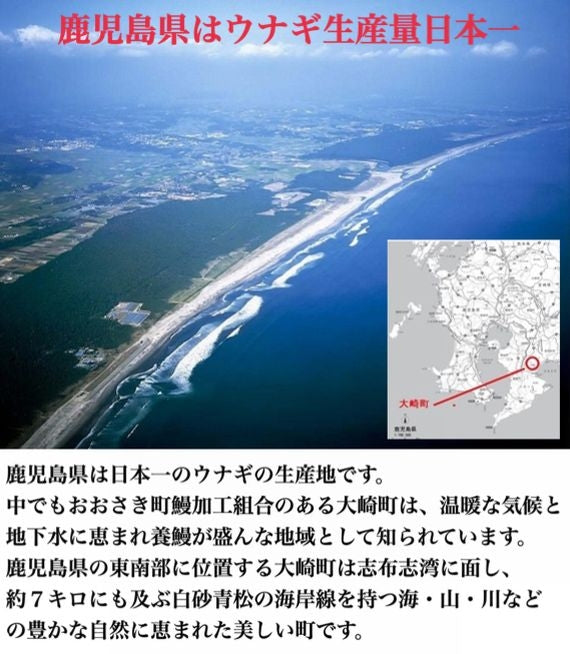 鹿児島県産うなぎ蒲焼　大２尾（送料込み）