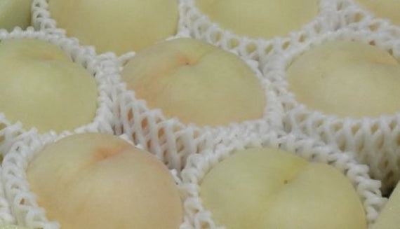 岡山冬桃がたり【ロイヤル】　（光センサー選別 )  6個～9個　約1.3kg　※小ぶりの桃です