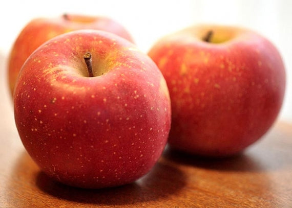 【葉とらず太陽ふじりんご・サンふじ】青森県JAつがる弘前（16～20個）5ｋｇ・林檎　