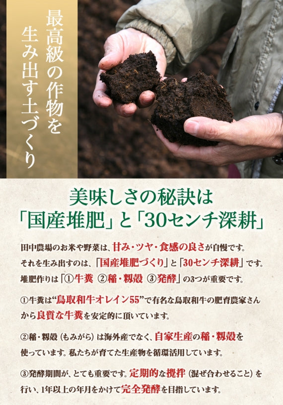 鳥取県産こしひかり白米10kg（おひとり様ご購入は10㎏まで）