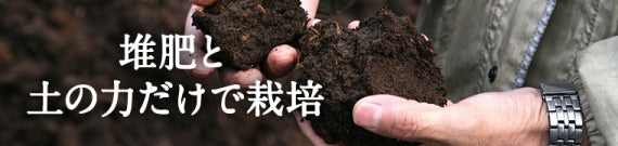 田中農場の大豆きなこ【大豆の風味が溢れ出す ほんのり甘く豊かな香ばしさ】