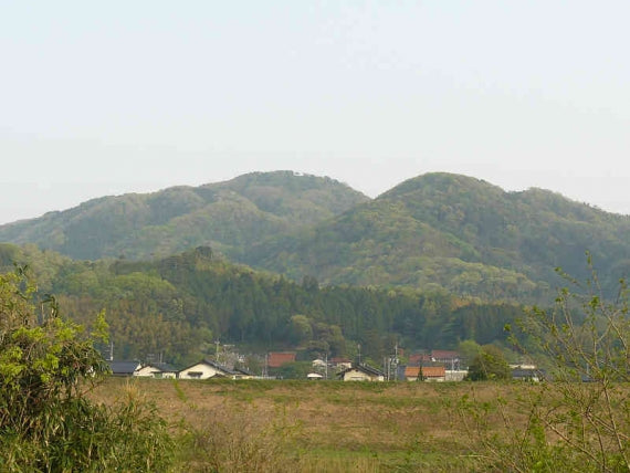 【ギフト】東出雲米食べ比べセット6㎏（各２kg入り・３種類）７年産新米【送料込み】