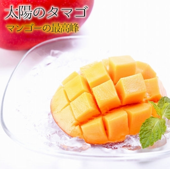 【予約販売・送料無料】宮崎産 完熟マンゴー　太陽のタマゴ
