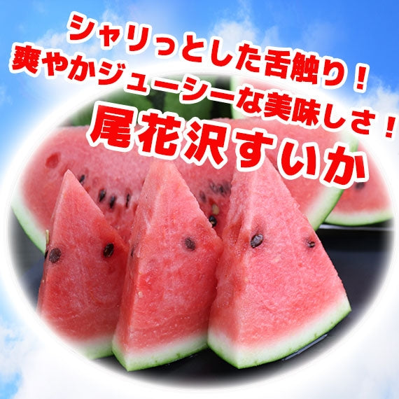 【7月中旬～9月上旬お届け】尾花沢スイカ 縞無双M~L 1個