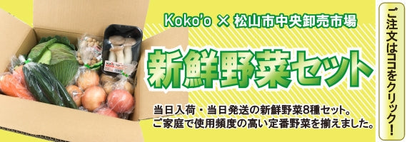 【※今季完売いたしました※】旬！とうもろこし　【２Lサイズ：８本入り】
