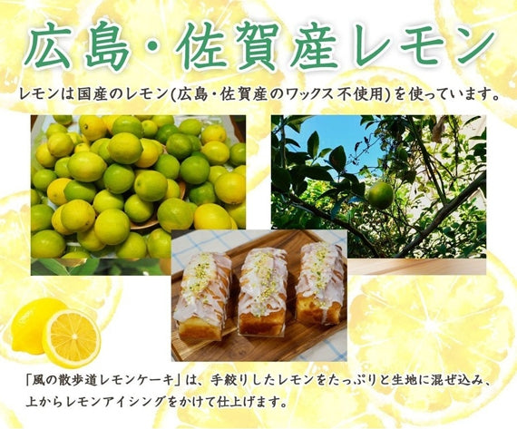 レモンケーキ セット Ａ 個包装 ティーバッグ コーヒードリップパック 箱入り 父の日 スイーツセット 可愛い焼き菓子 焼菓子 お菓子セット 手作り 洋菓子詰合せ 贈答用お菓子 可愛い ケーキギフト 美味しいケーキ おしゃれ コーヒー ドリップ珈琲 絶品 出産 プレゼント