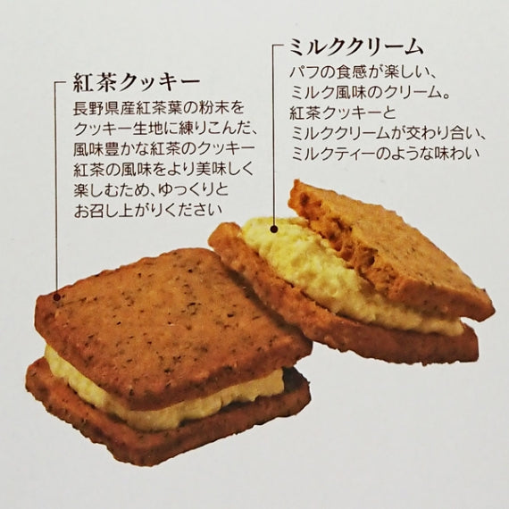 信州紅茶のミルククリームサンドクッキー8個入大　信州長野のお土産